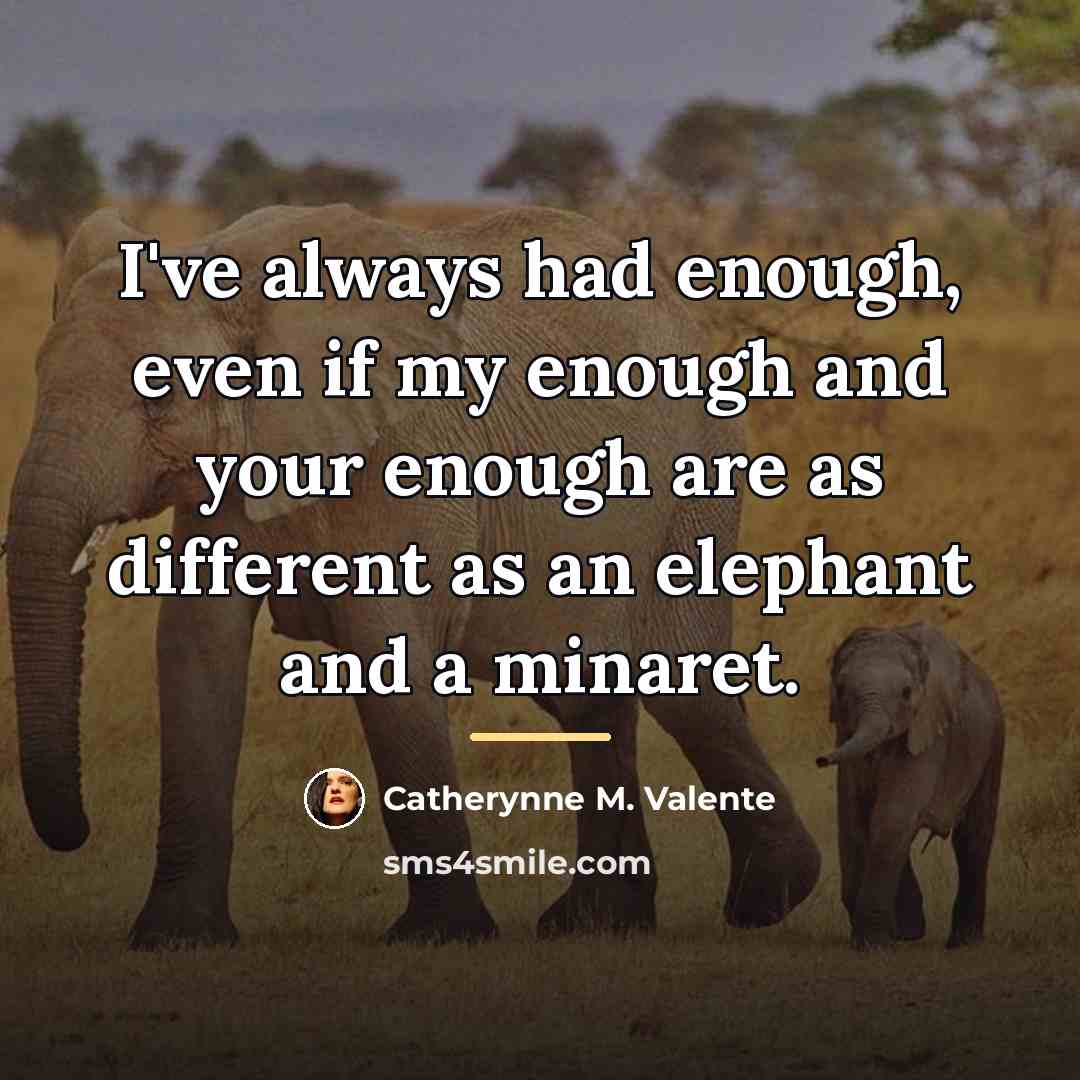 “I've always had enough, even if my enough and your…” quote by Catherynne M. Valente