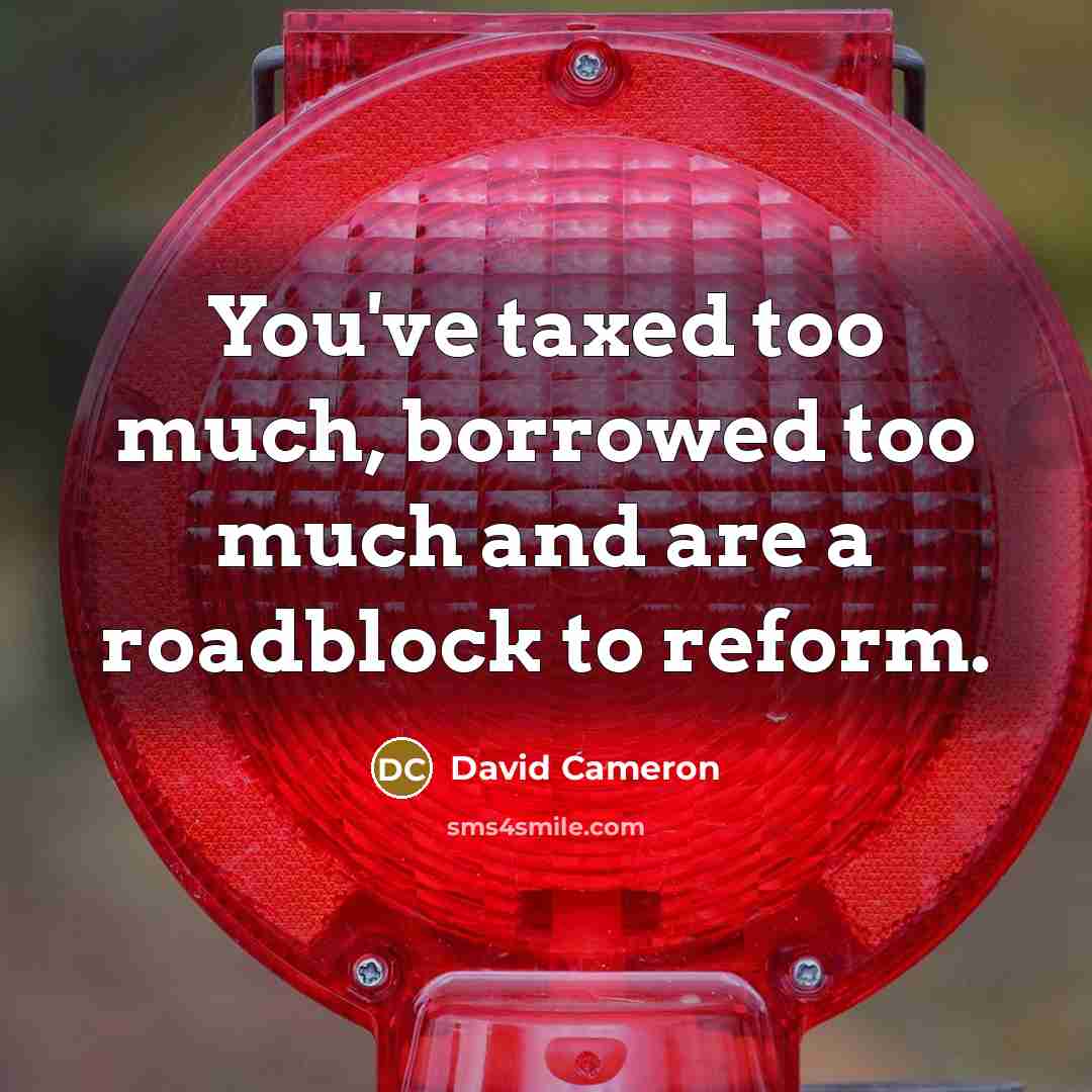 “You've taxed too much, borrowed too much and are a…” quote by David Cameron