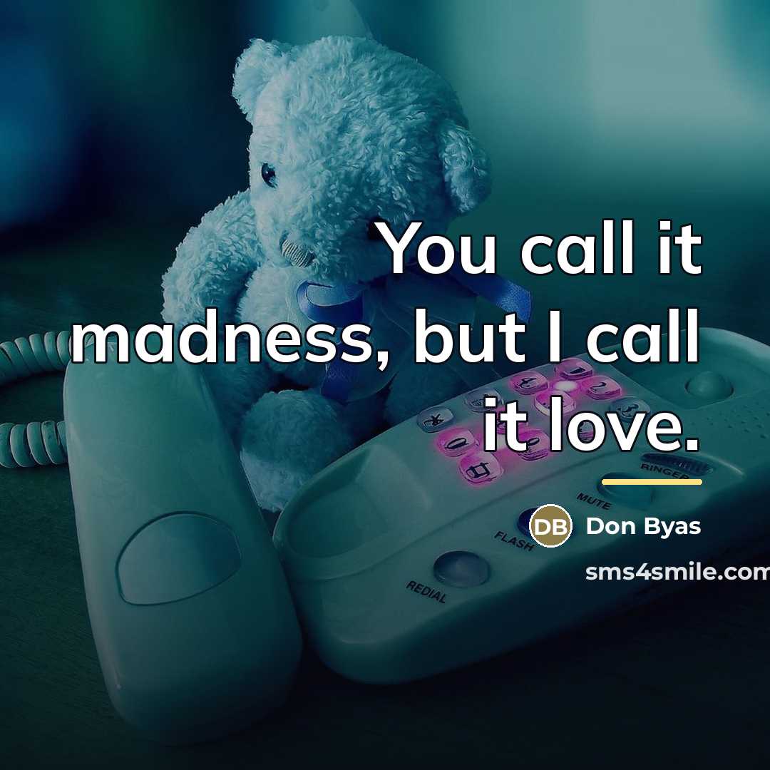 “You call it madness, but I call it love.…” quote by Anonymous