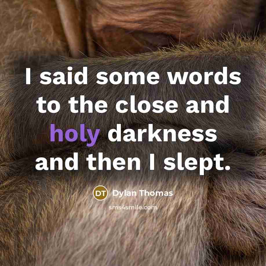 “I said some words to the close and holy darkness…” quote by Dylan Thomas
