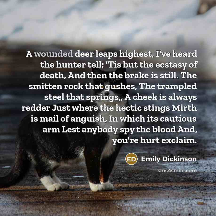 “A wounded deer leaps highest, I've heard the hunter tell;…” quote by Emily Dickinson