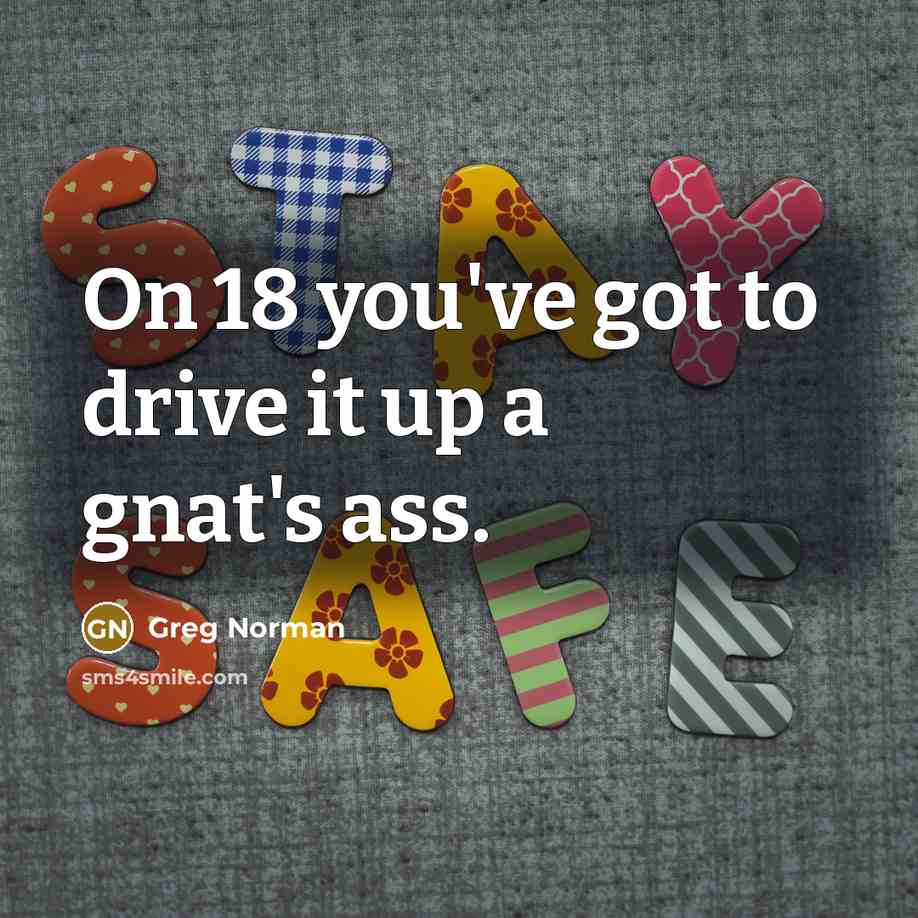 “On 18 you've got to drive it up a gnat's…” quote by Greg Norman