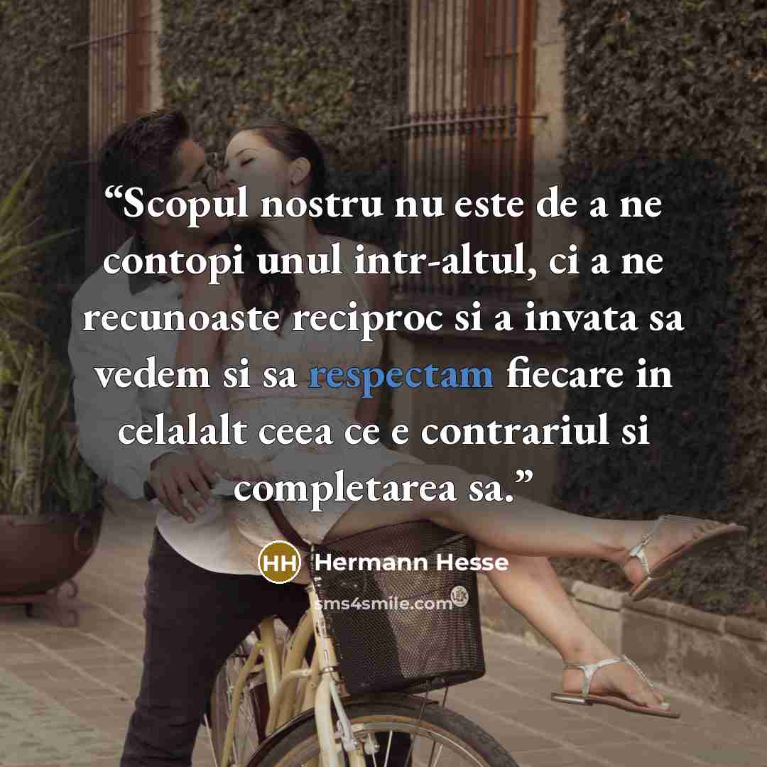 “Scopul nostru nu este de a ne contopi unul intr-altul, ci a ne recunoaste reciproc si a invata sa vedem si sa respectam fiecare in celalalt ceea ce e contrariul si completarea sa.” quote by Hermann Hesse