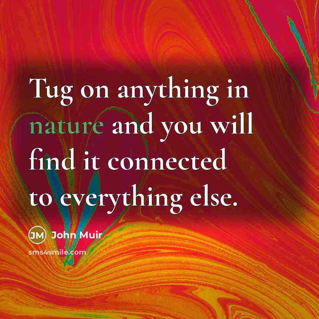 “Tug on anything in nature and you will find it…” quote by John Muir