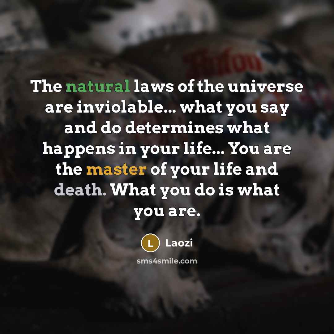 “The natural laws of the universe are inviolable... what you…” quote by Laozi