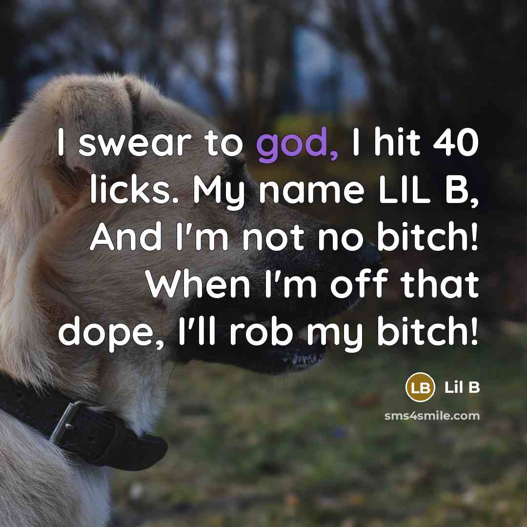 “I swear to god, I hit 40 licks. My name LIL B, And I'm not no bitch! When I'm off that dope, I'll rob my bitch!” quote by Lil B