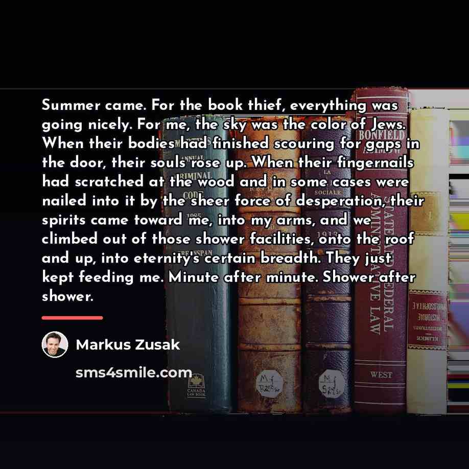 “Summer came. For the book thief, everything was going nicely.…” quote by Markus Zusak