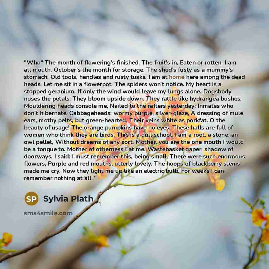 “Who" The month of flowering’s finished. The fruit’s in, Eaten or rotten. I am all mouth. October’s the month for storage. The shed’s fusty as a mummy’s stomach: Old tools, handles and rusty tusks. I am at home here among the dead heads. Let me sit in a flowerpot, The spiders won’t notice. My heart…” quote by Sylvia Plath