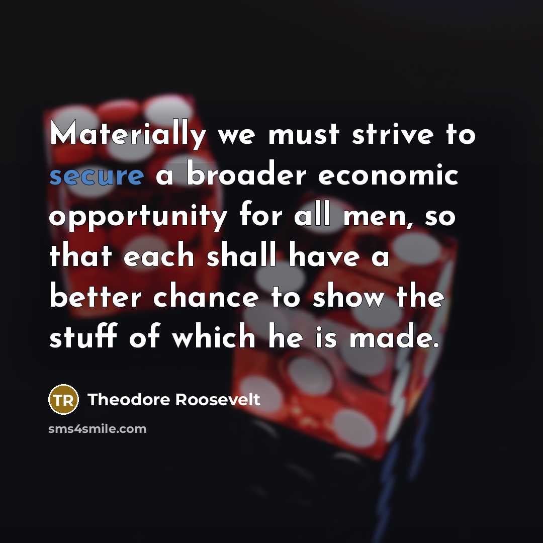 “Materially we must strive to secure a broader economic opportunity…” quote by Theodore Roosevelt
