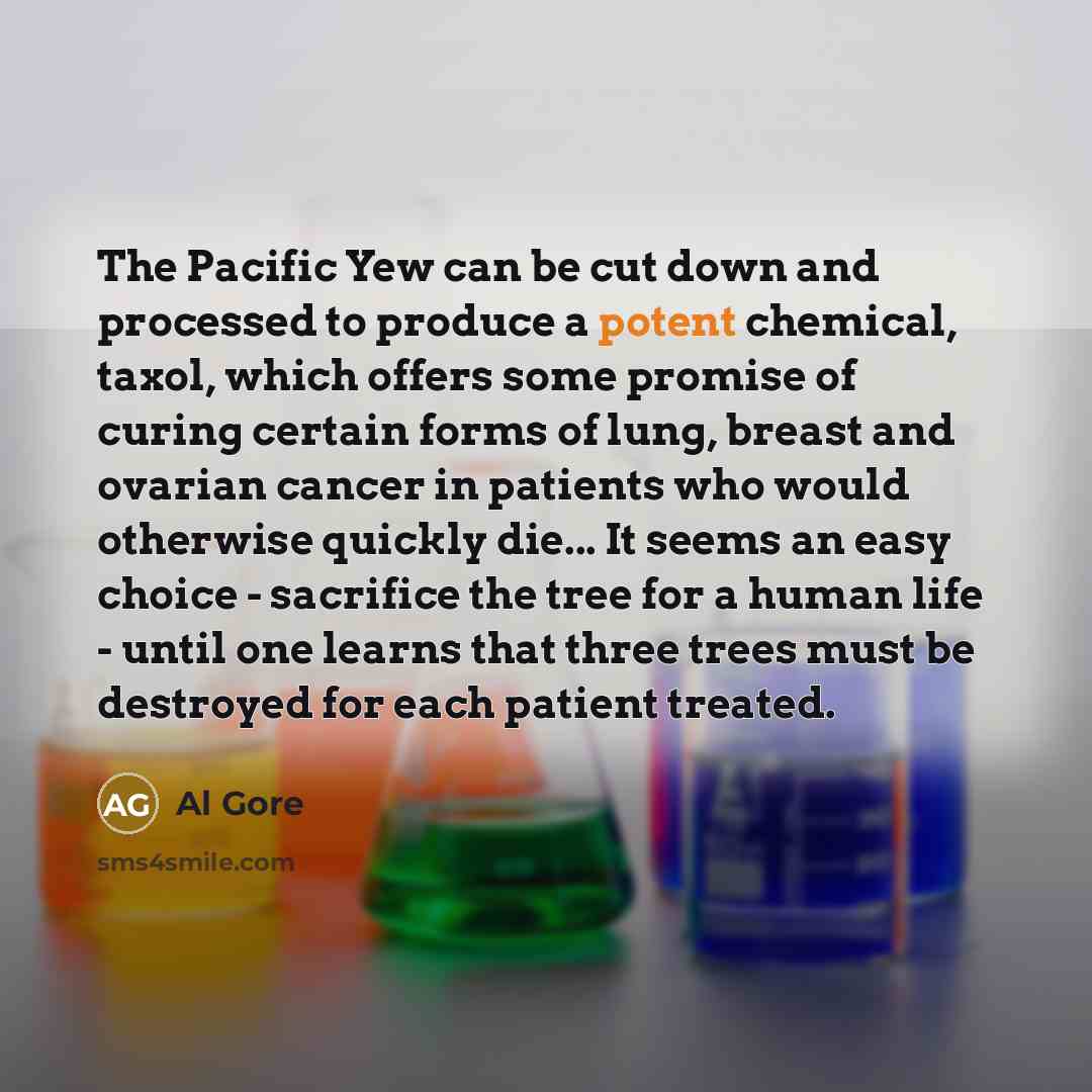 “The Pacific Yew can be cut down and processed to…” quote by Al Gore