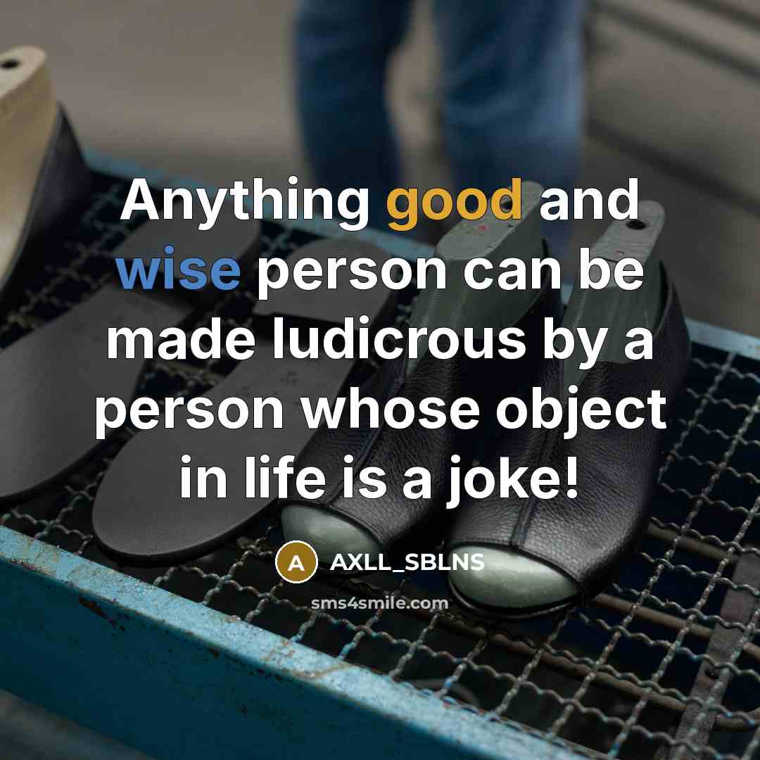 “Anything good and wise person can be made ludicrous by…” quote by AXLL_SBLNS