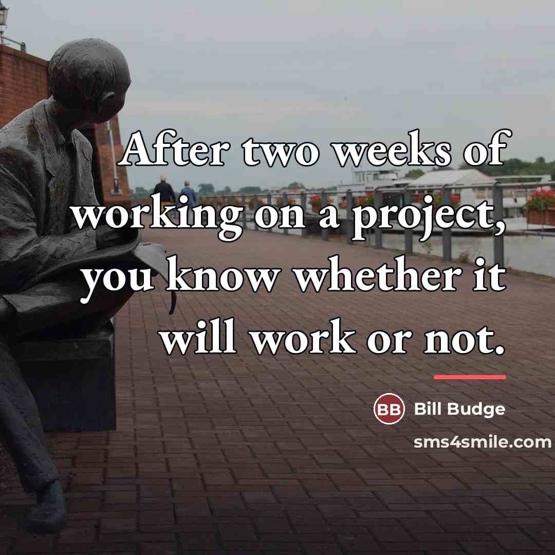 “After two weeks of working on a project, you know…” quote by Bill Budge