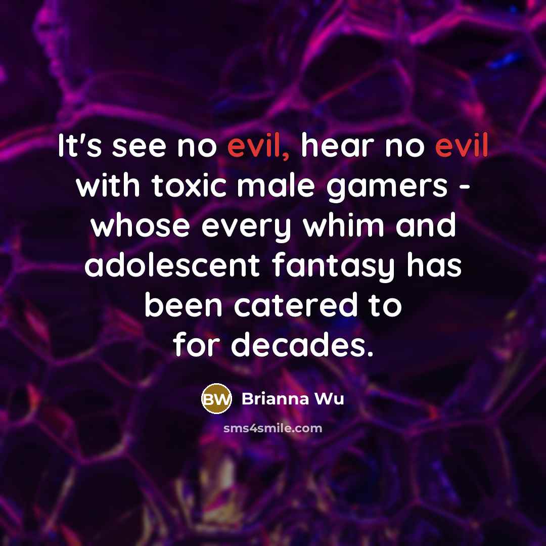“It's see no evil, hear no evil with toxic male…” quote by Brianna Wu