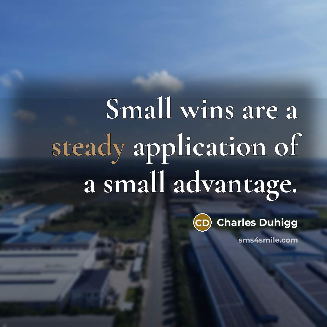 “Small wins are a steady application of a small advantage.…” quote by Charles Duhigg