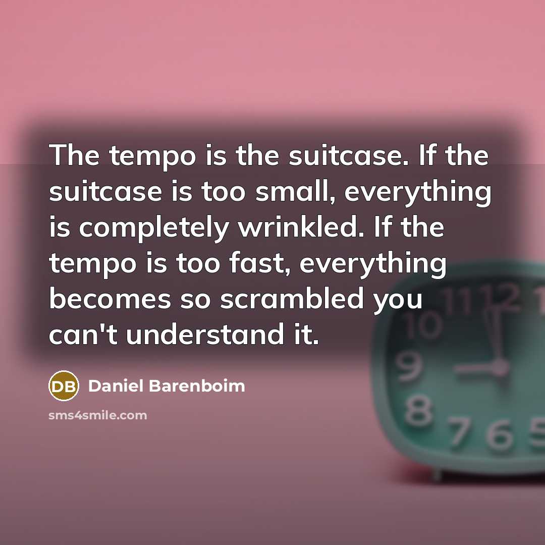 “The tempo is the suitcase. If the suitcase is too…” quote by Daniel Barenboim
