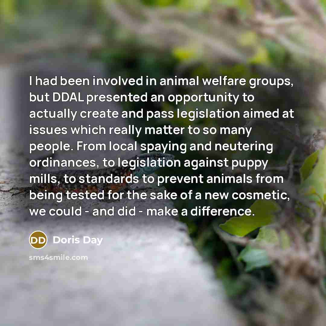 “I had been involved in animal welfare groups, but DDAL…” quote by Doris Day