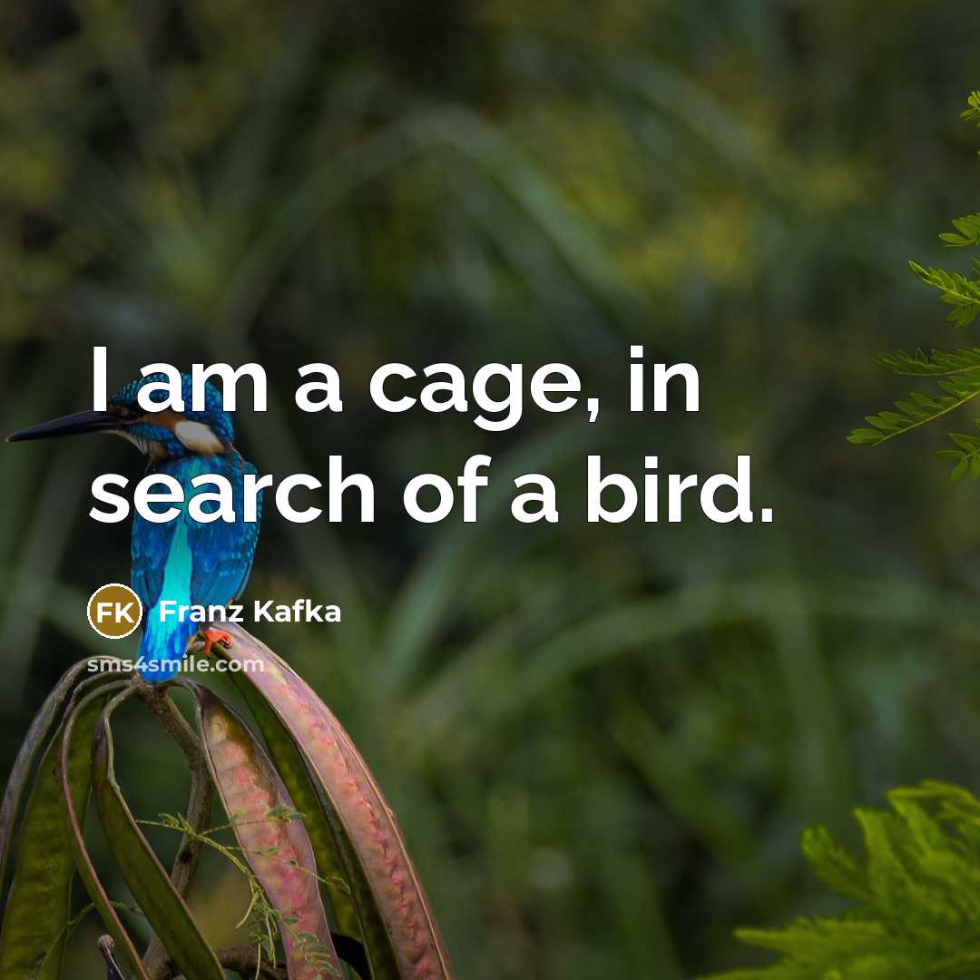 “I am a cage, in search of a bird.…” quote by Franz Kafka