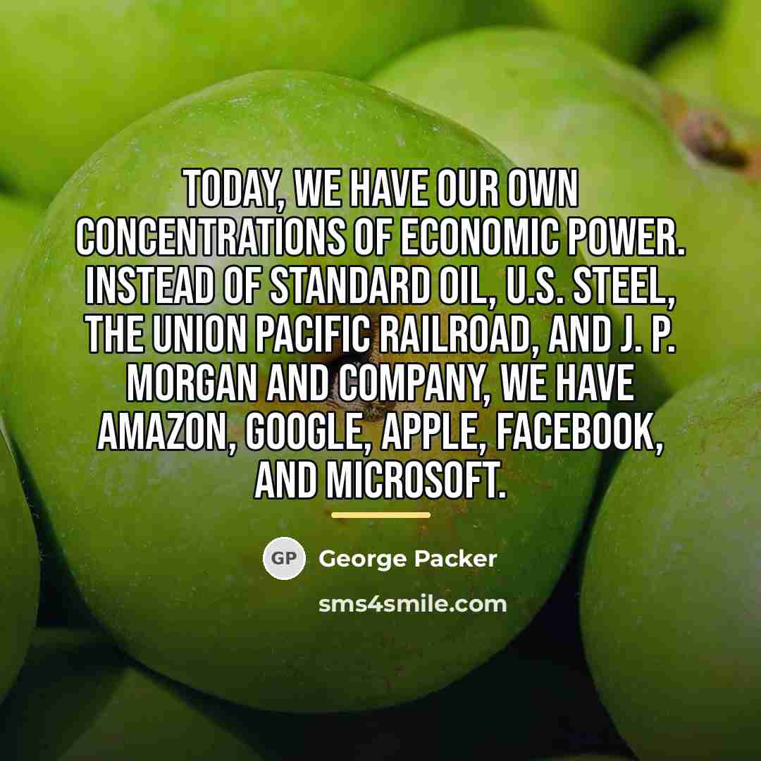 “Today, we have our own concentrations of economic power. Instead…” quote by George Packer