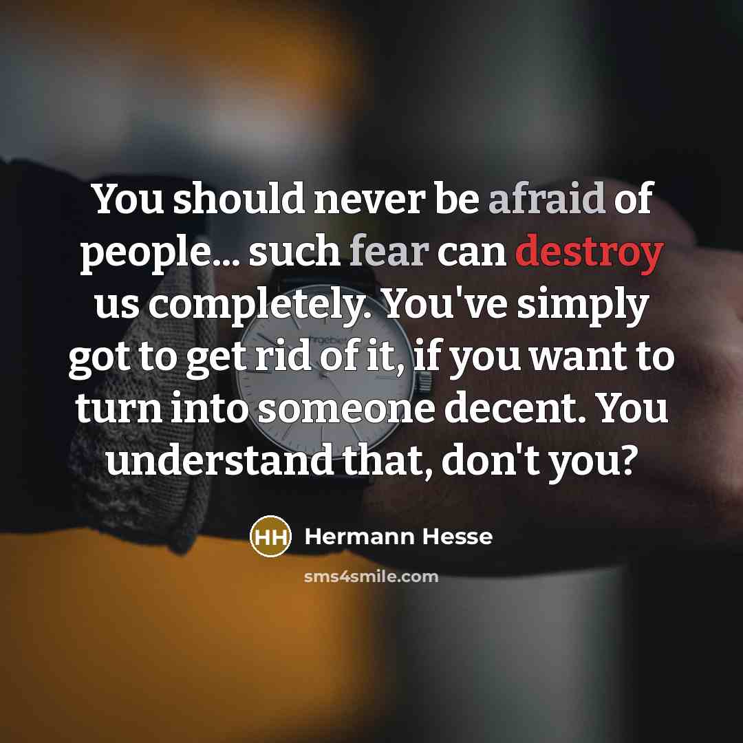 “You should never be afraid of people... such fear can destroy us completely. You've simply got to get rid of it, if you want to turn into someone decent. You understand that, don't you?” quote by Hermann Hesse