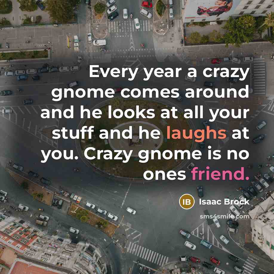“Every year a crazy gnome comes around and he looks at all your stuff and he laughs at you. Crazy gnome is no ones friend.” quote by Isaac Brock