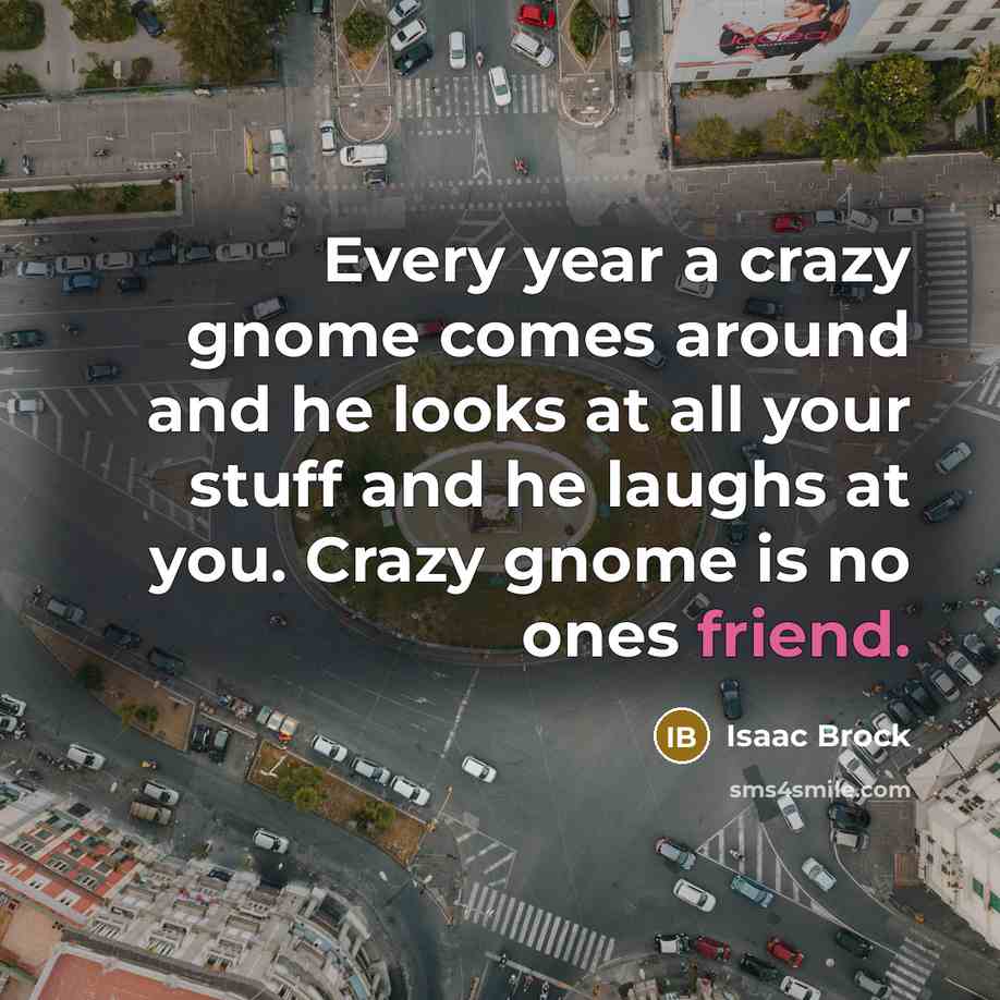 “Every year a crazy gnome comes around and he looks…” quote by Isaac Brock