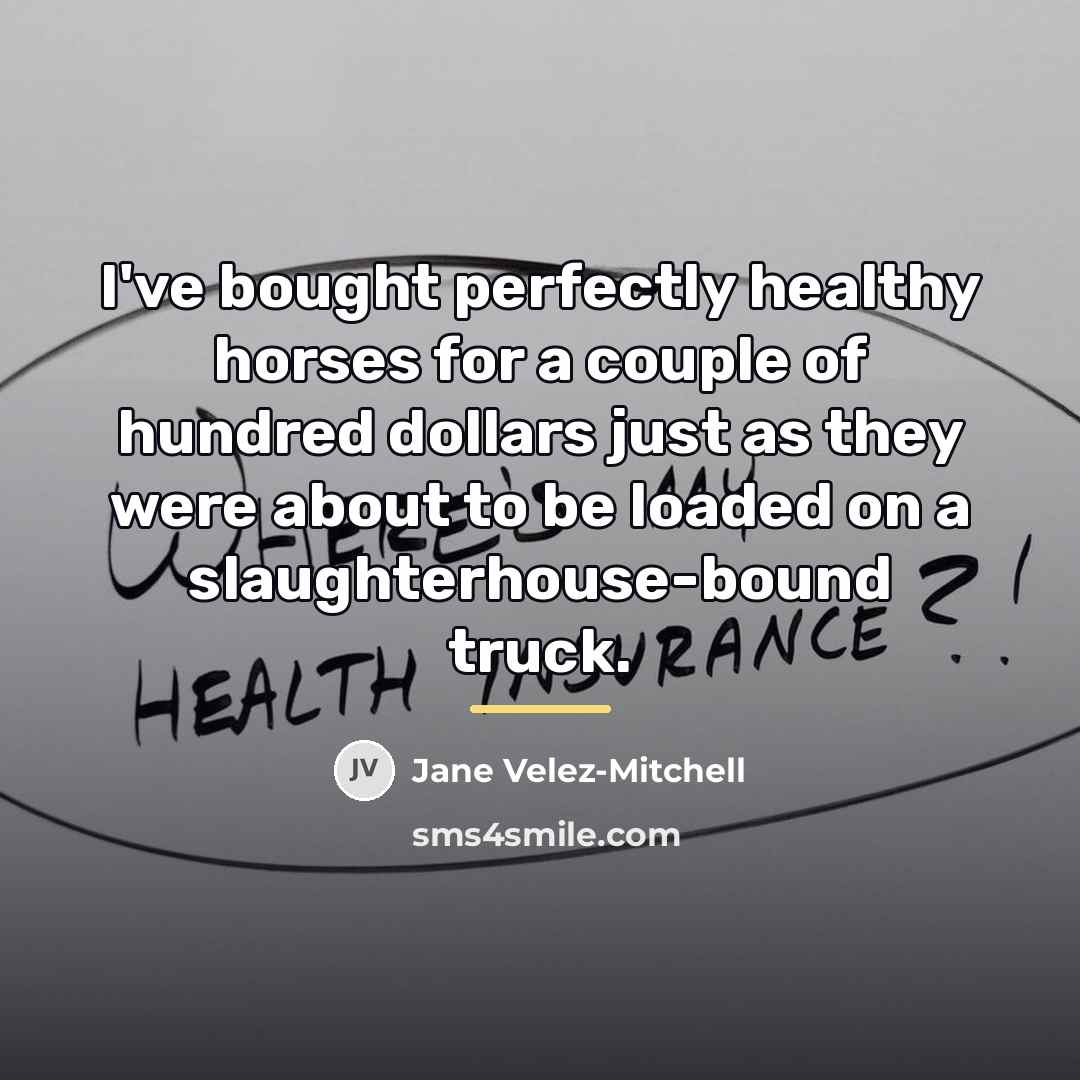 “I've bought perfectly healthy horses for a couple of hundred…” quote by Jane Velez-Mitchell