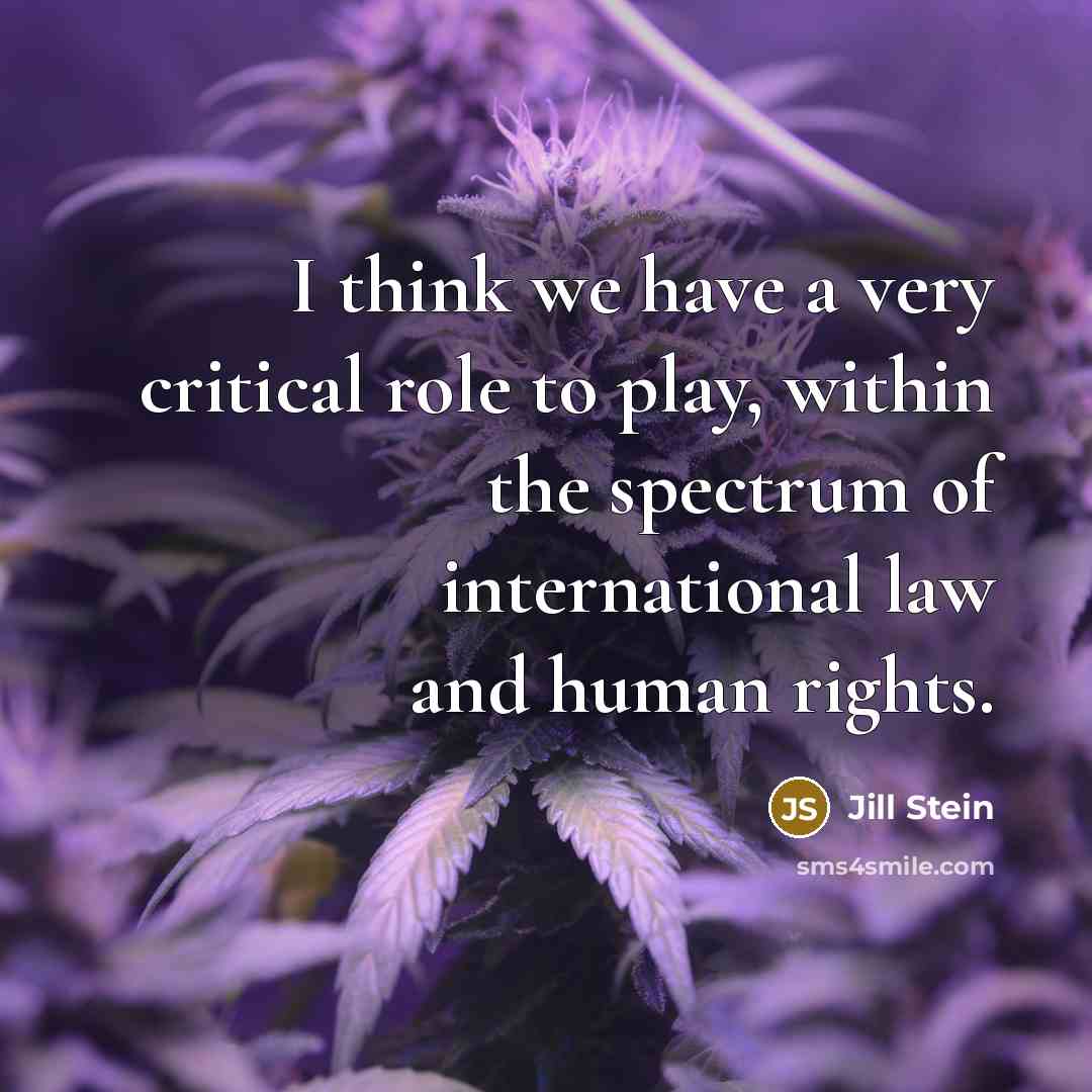 “I think we have a very critical role to play,…” quote by Jill Stein