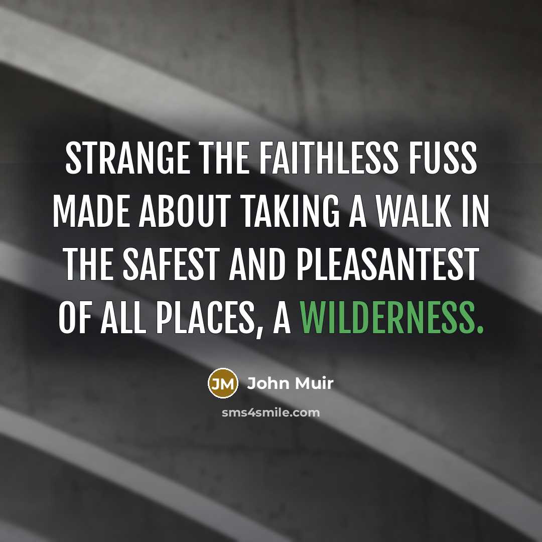 “Strange the faithless fuss made about taking a walk in…” quote by John Muir