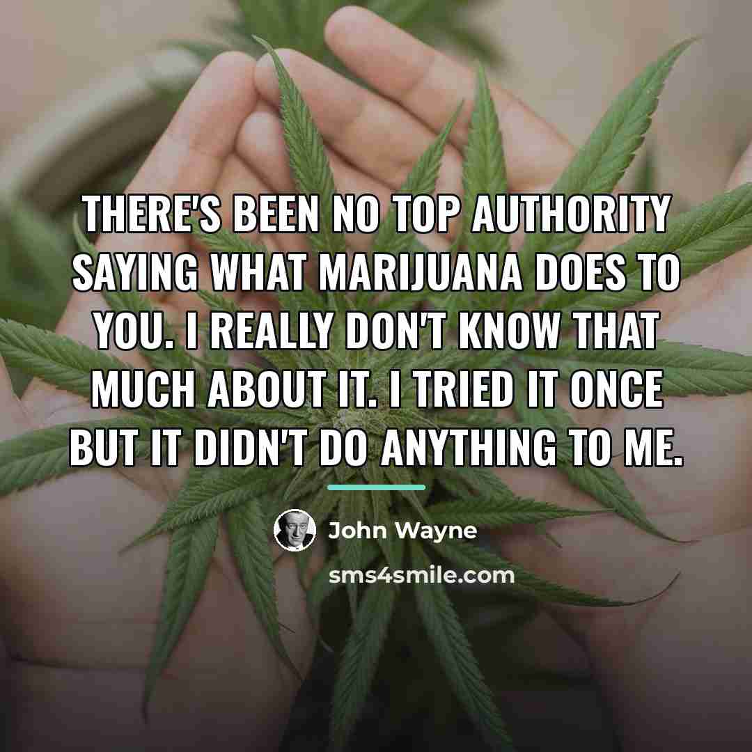 “There's been no top authority saying what marijuana does to…” quote by John Wayne
