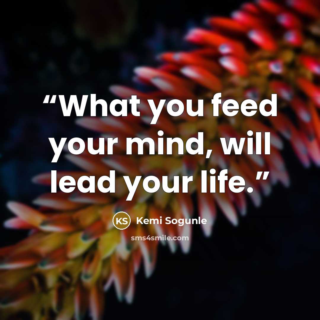 “What you feed your mind, will lead your life.” quote by Kemi Sogunle