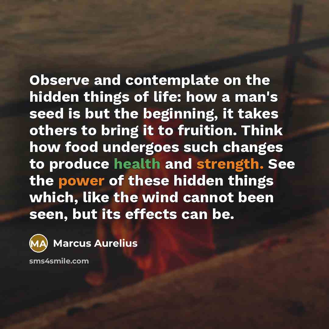 “Observe and contemplate on the hidden things of life: how a man's seed is but the beginning, it takes others to bring it to fruition. Think how food undergoes such changes to produce health and strength. See the power of these hidden things which, like the wind cannot been seen, but its effects…” quote by Marcus Aurelius
