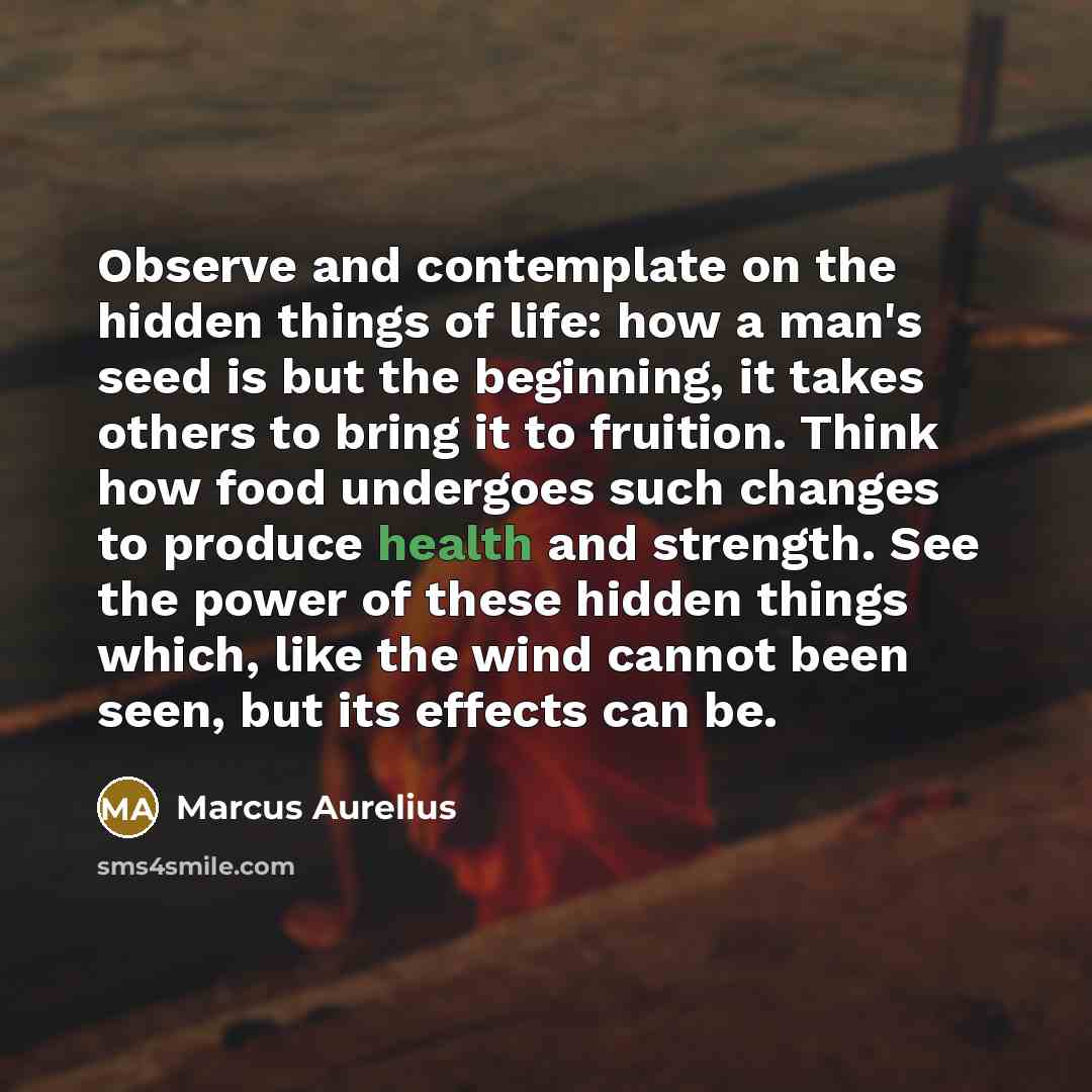 “Observe and contemplate on the hidden things of life: how…” quote by Marcus Aurelius