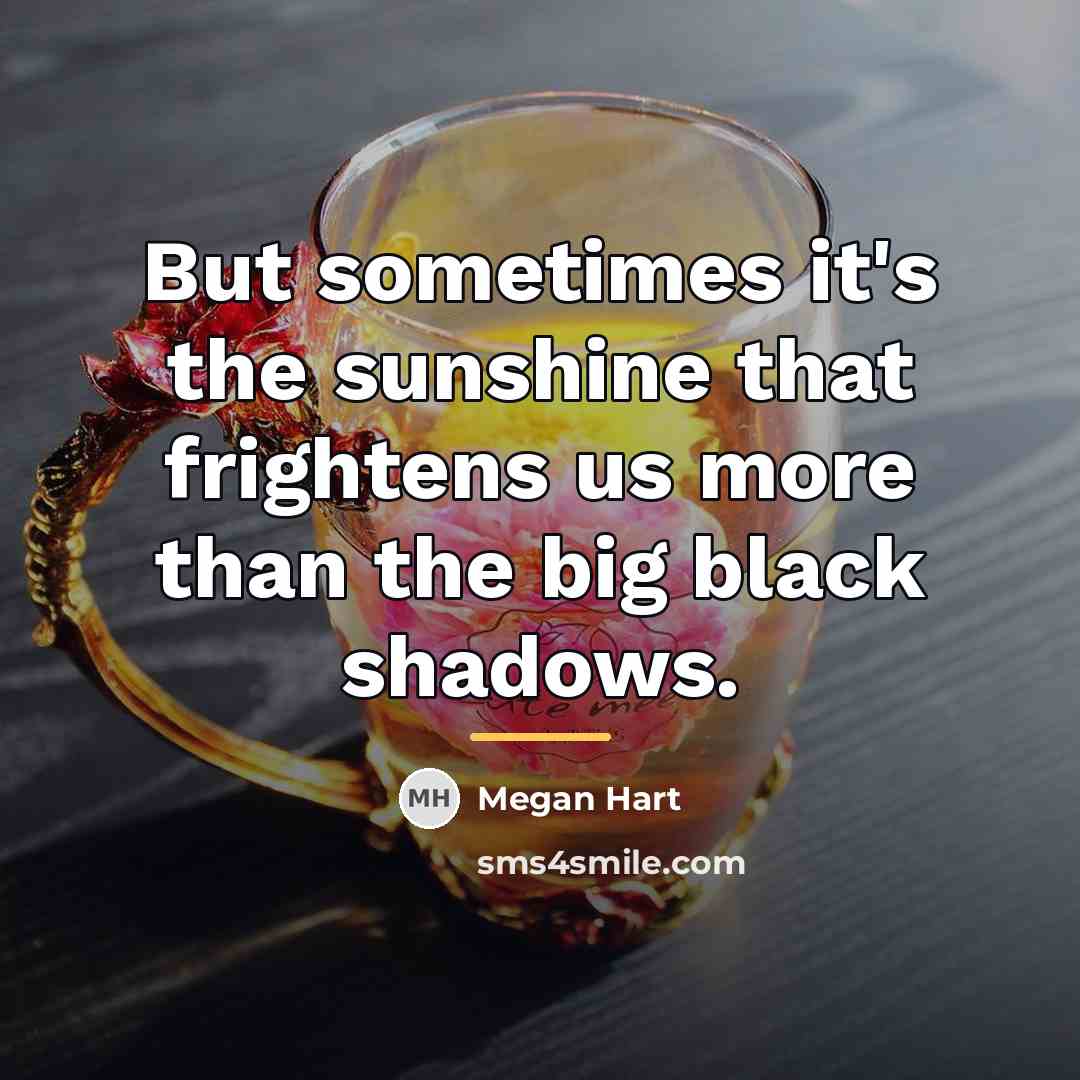“But sometimes it's the sunshine that frightens us more than…” quote by Megan Hart