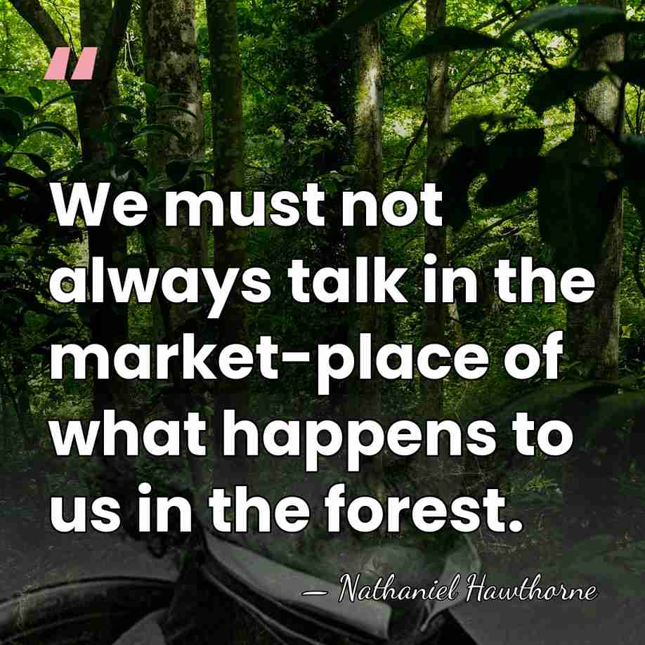 We must not always talk in the market-place of what happens to&hellip; - Nathaniel Hawthorne