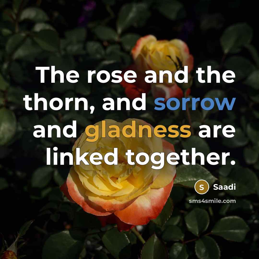 “The rose and the thorn, and sorrow and gladness are…” quote by Saadi