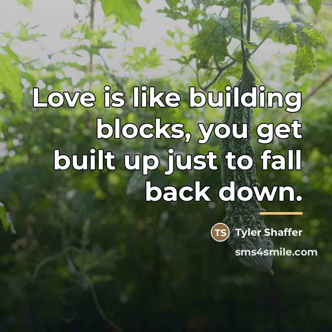“Love is like building blocks, you get built up just…” quote by Tyler Shaffer