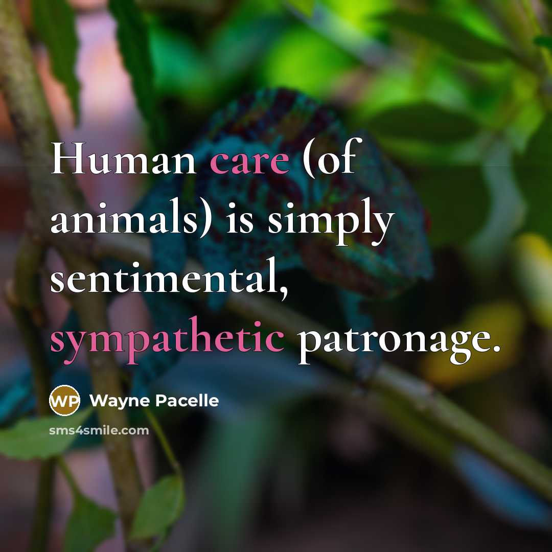 “Human care (of animals) is simply sentimental, sympathetic patronage.…” quote by Wayne Pacelle