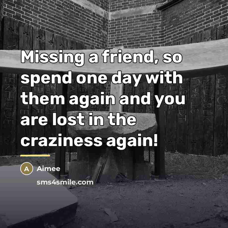 “Missing a friend, so spend one day with them again…” quote by Aimee