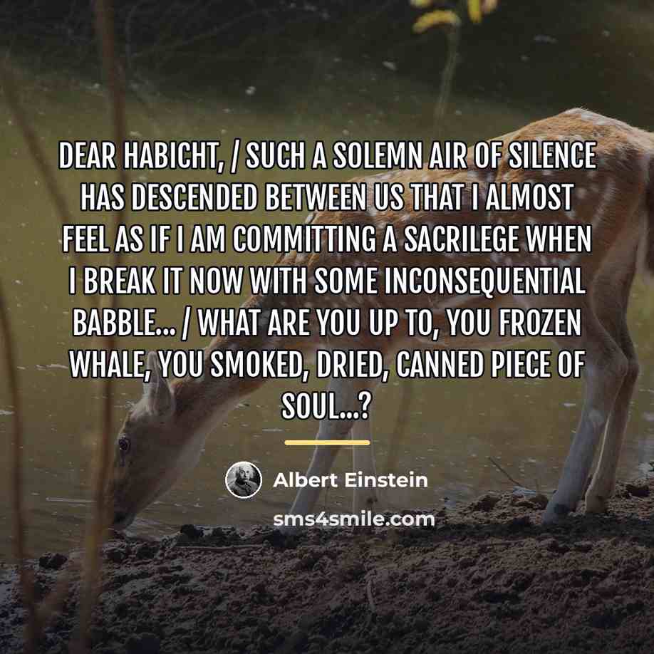 “Dear Habicht, / Such a solemn air of silence has…” quote by Albert Einstein
