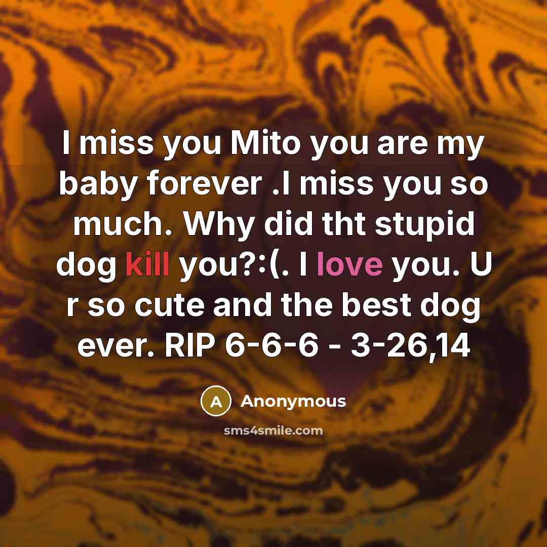 “I miss you Mito you are my baby forever .I miss you so much. Why did tht stupid dog kill you?:(. I love you. U r so cute and the best dog ever. RIP 6-6-6 - 3-26,14” quote by Anonymous