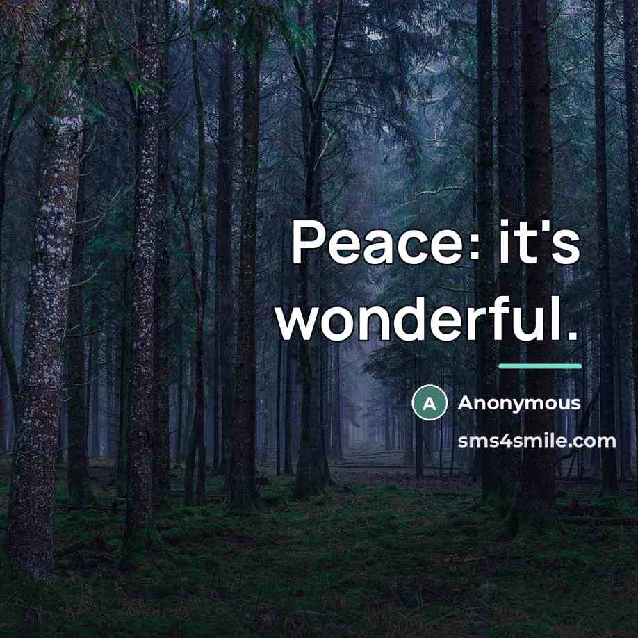 “Peace: it's wonderful.…” quote by Anonymous