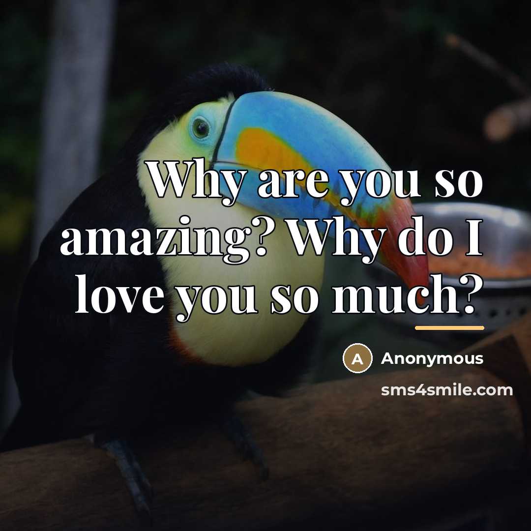 “Why are you so amazing? Why do I love you…” quote by Anonymous