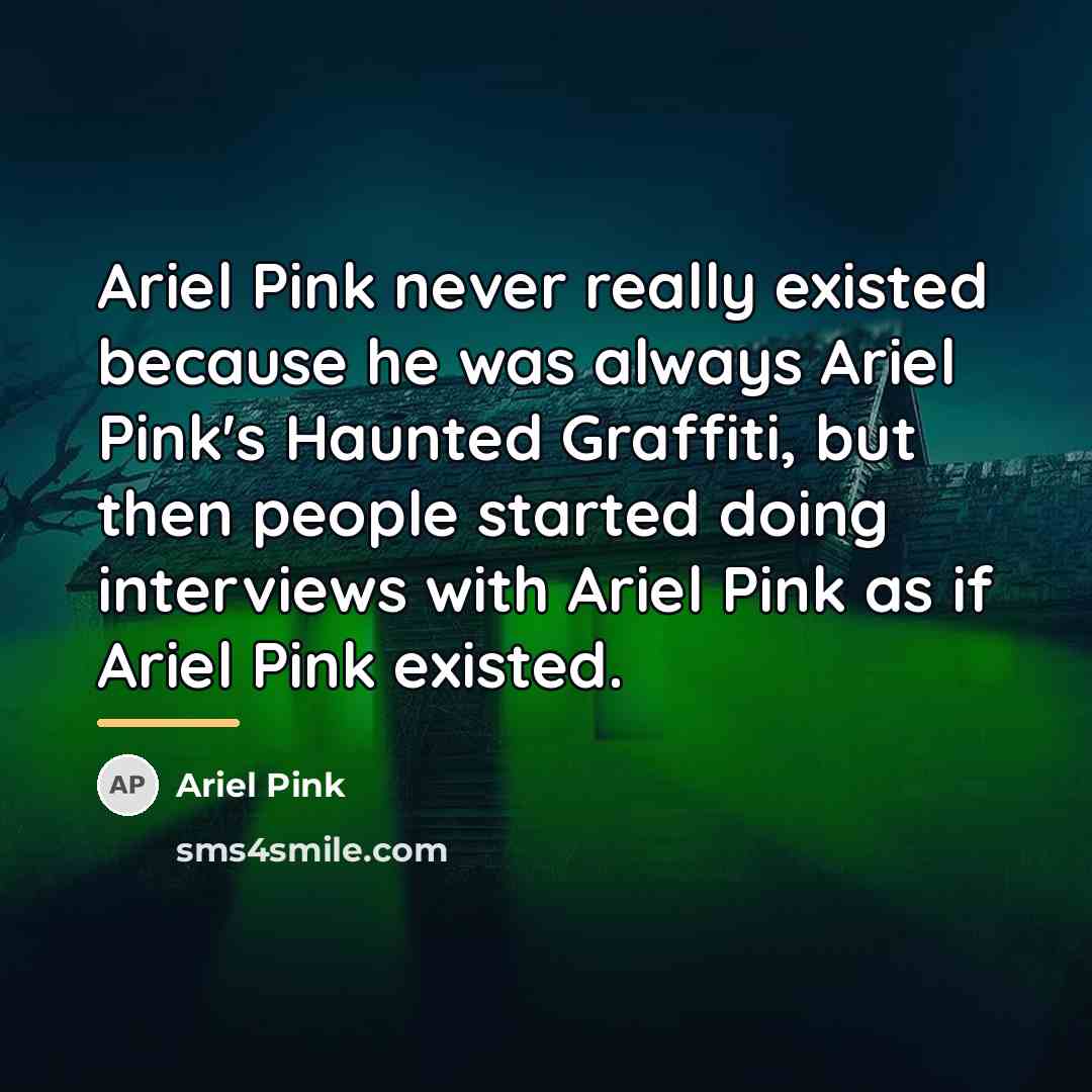“Ariel Pink never really existed because he was always Ariel…” quote by Ariel Pink