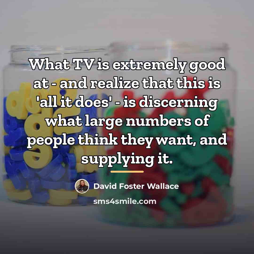 “What TV is extremely good at - and realize that…” quote by David Foster Wallace