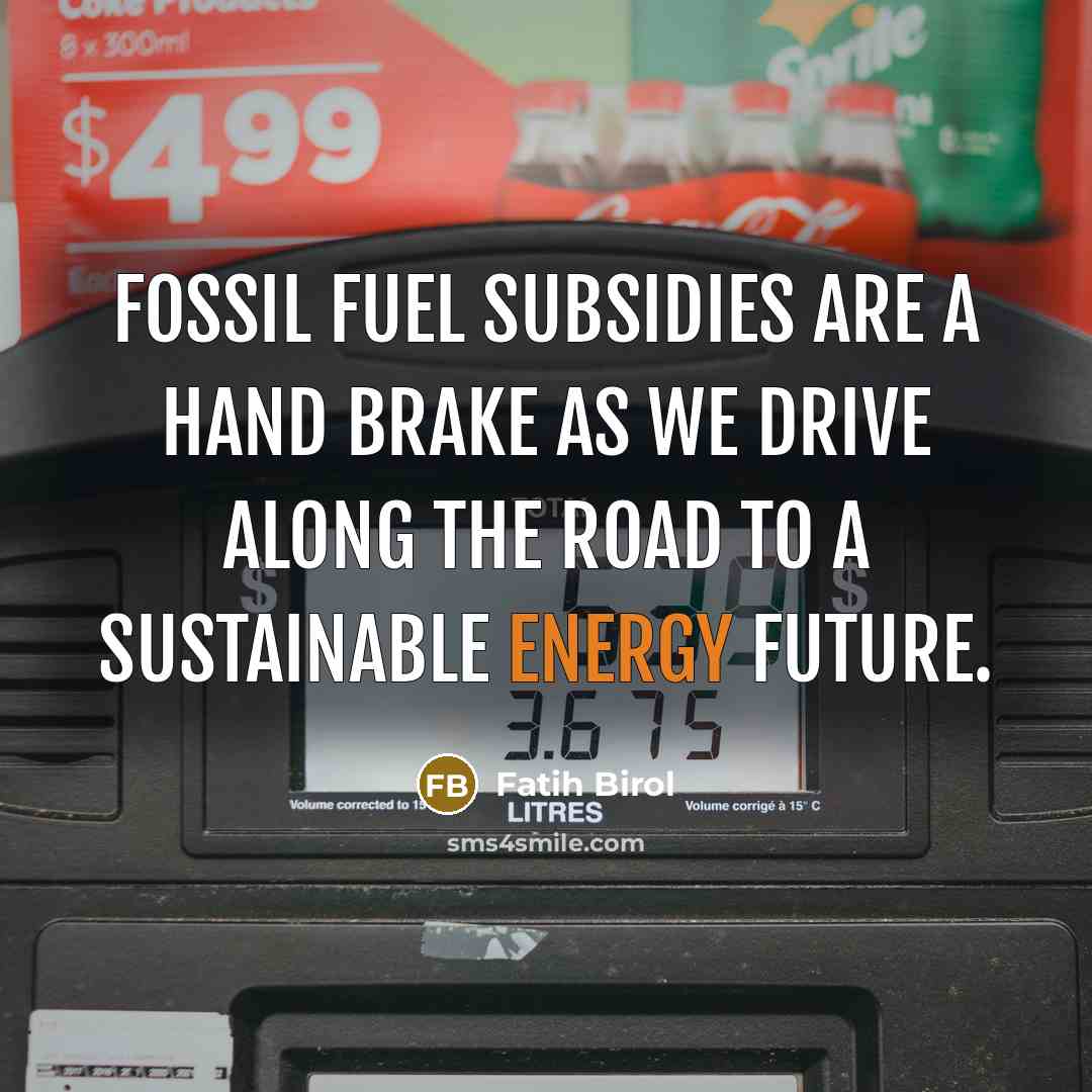“Fossil fuel subsidies are a hand brake as we drive…” quote by Fatih Birol