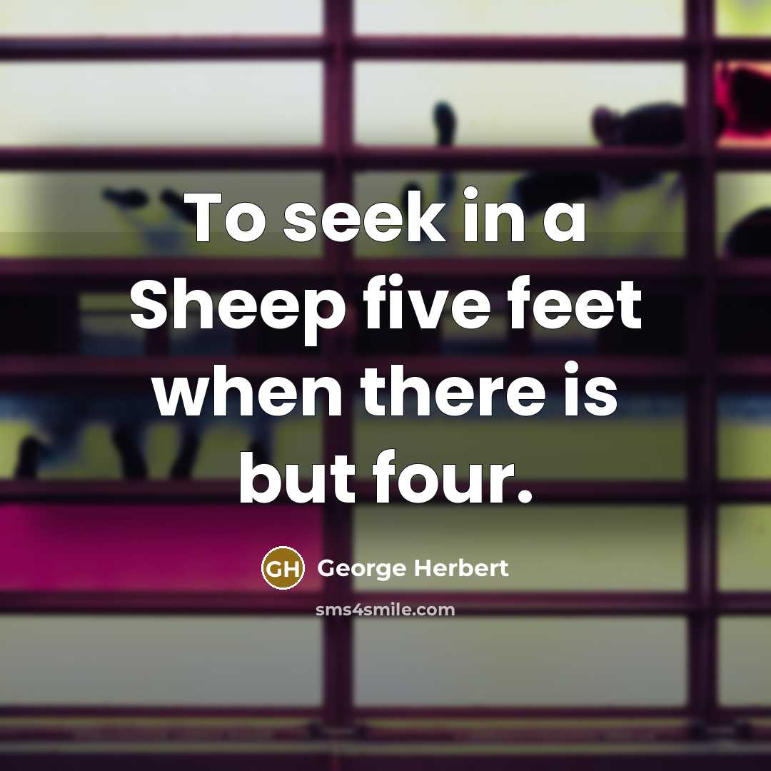 “To seek in a Sheep five feet when there is…” quote by George Herbert