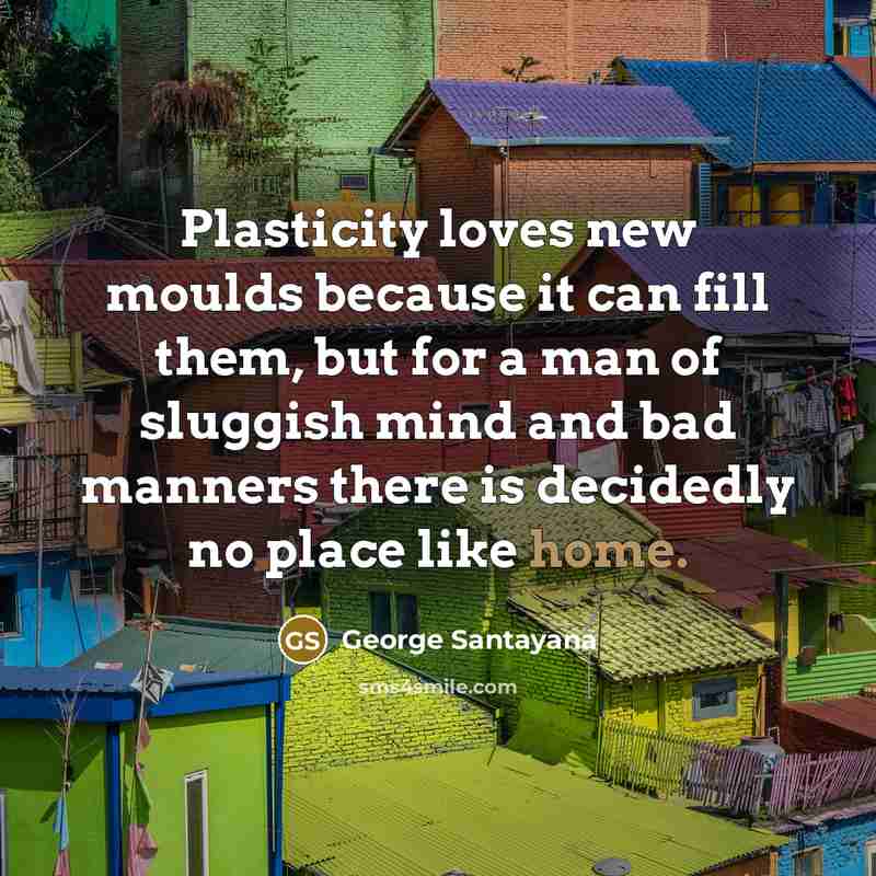 “Plasticity loves new moulds because it can fill them, but…” quote by George Santayana