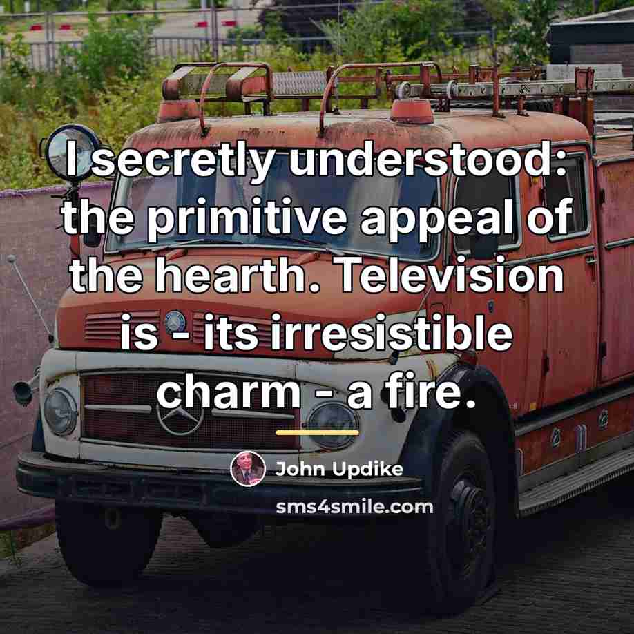“I secretly understood: the primitive appeal of the hearth. Television…” quote by John Updike