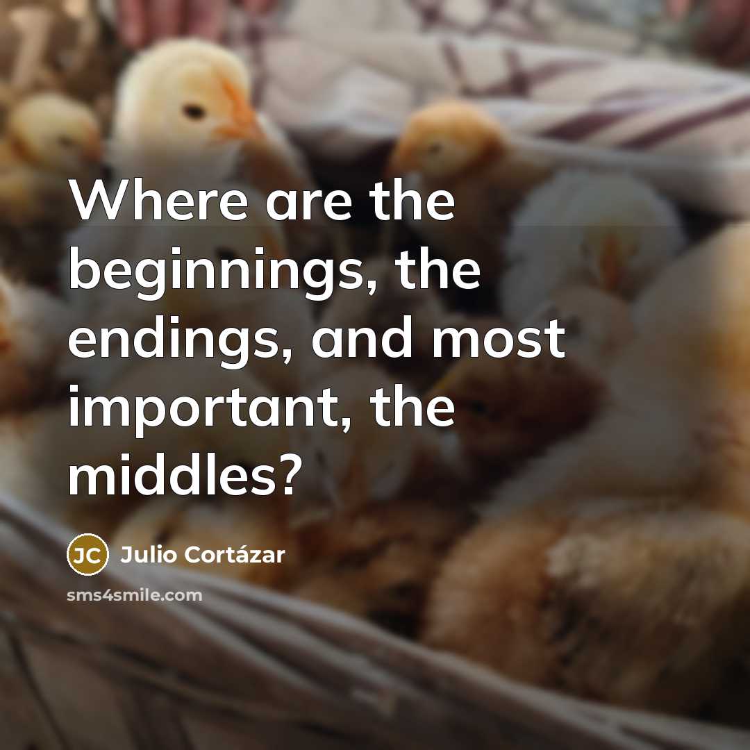 “Where are the beginnings, the endings, and most important, the middles?” quote by Julio Cortazar