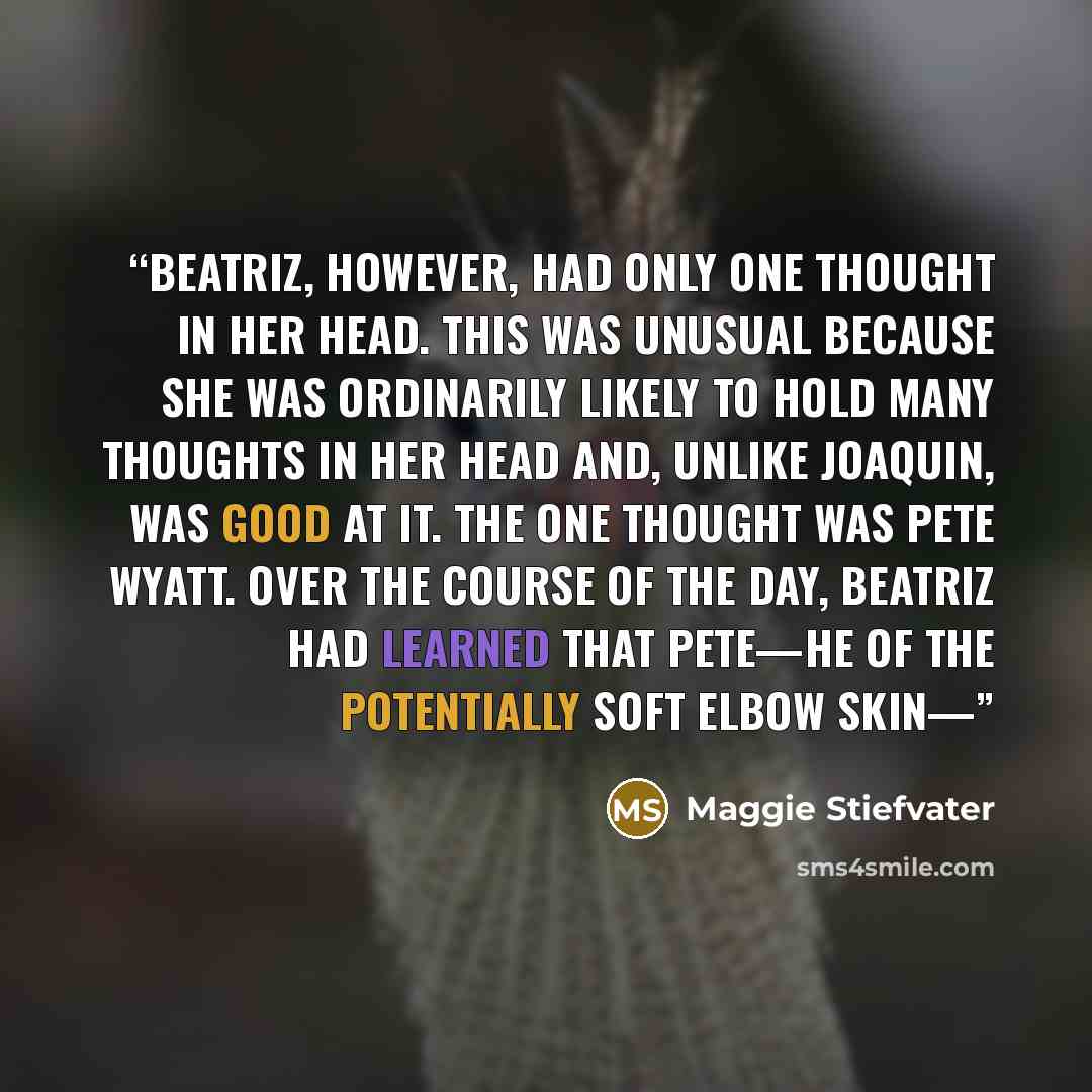“Beatriz, however, had only one thought in her head. This was unusual because she was ordinarily likely to hold many thoughts in her head and, unlike Joaquin, was good at it. The one thought was Pete Wyatt. Over the course of the day, Beatriz had learned that Pete—he of the potentially soft elbow…” quote by Maggie Stiefvater